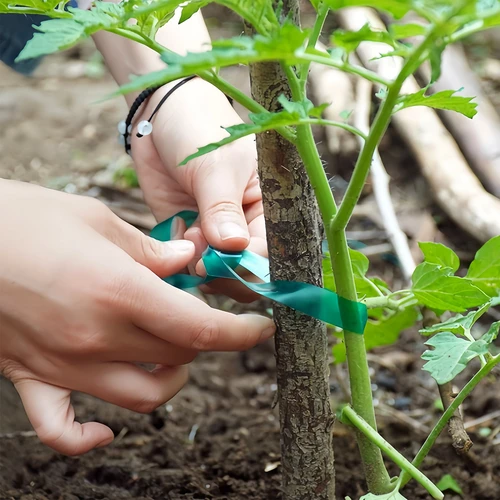 PVC páska na vázání rostlin, 1,2 cm x 40m - 4