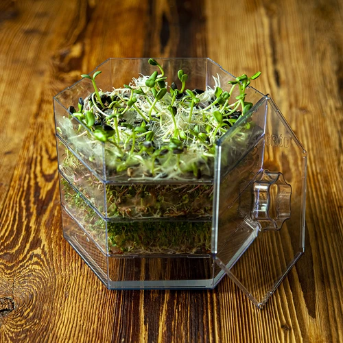 Sada semen na klíčky - 10 balení - 7