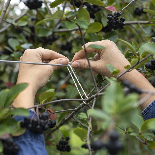 Sisalový provázek 1,8 mm/115 m/250 g - 7