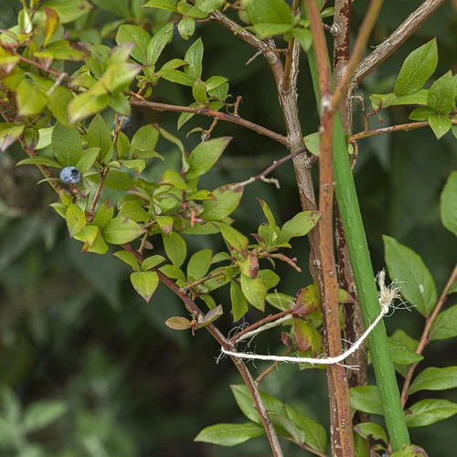 Sisalový provázek 1,8 mm/115 m/250 g - 8