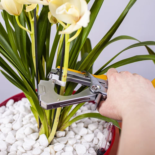 Sponky do zahradnické sešívačky - 10000 ks - 5