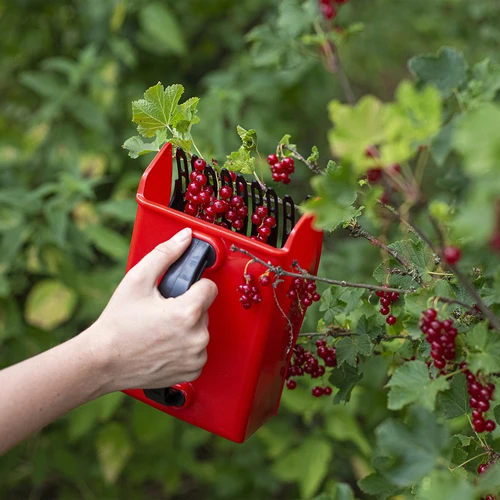 Stroj na sběr drobného ovoce - 8