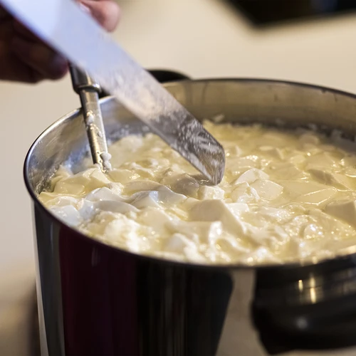 Syřidlo na sýry 5x1 g - 7