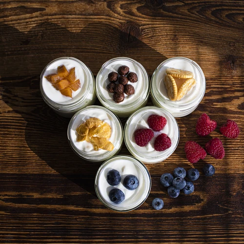 Sýro-jogurtovač s termostatem 1,5 L - 19