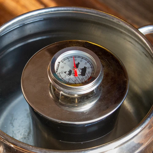 Teploměr na pečení masa (0°C do +120°C) 12,5cm - 12