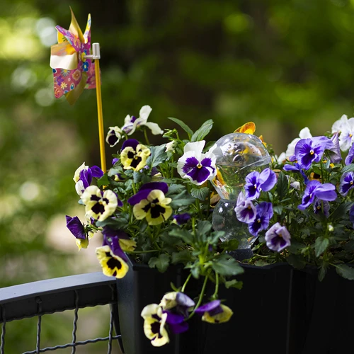 Trojitá zavlažovací koule (tříkomorová), průhledná bezbarvá, 600 ml - 9