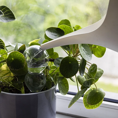 Trojitá zavlažovací koule (tříkomorová), průhledná bezbarvá, s keramickou nožkou, 600 ml - 6