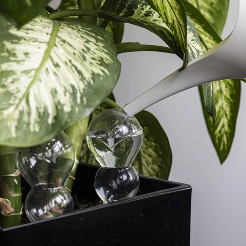 Trojitá zavlažovací koule (tříkomorová), průhledná bezbarvá, s keramickou nožkou, 600 ml - 7