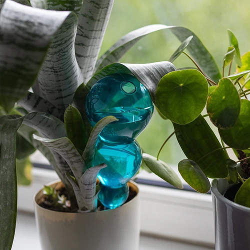 Trojitá zavlažovací koule (tříkomorová), průhledná modrá, 600 ml - 6
