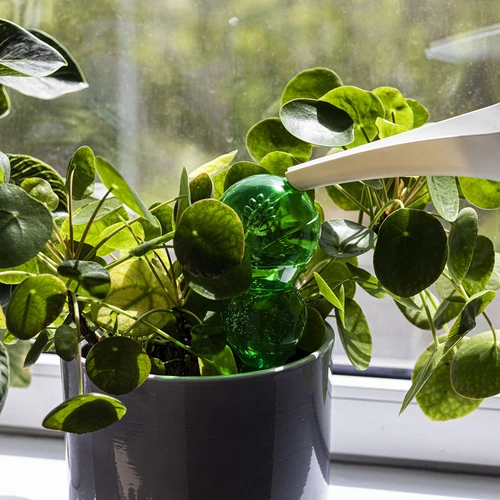 Trojitá zavlažovací koule (tříkomorová), průhledná zelená, 600 ml - 6