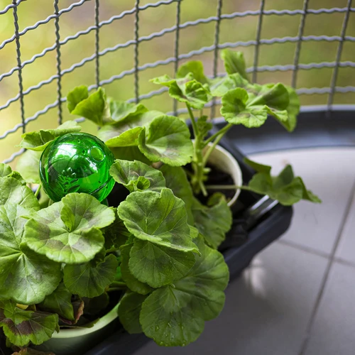 Trojitá zavlažovací koule (tříkomorová), průhledná zelená, 600 ml - 8