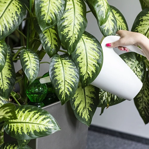 Trojitá zavlažovací koule (tříkomorová), průhledná zelená s keramickou nožkou, 600ml - 6