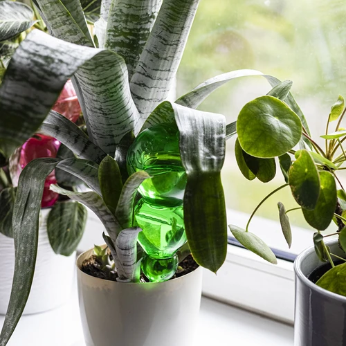 Trojitá zavlažovací koule (tříkomorová), průhledná zelená s keramickou nožkou, 600ml - 8