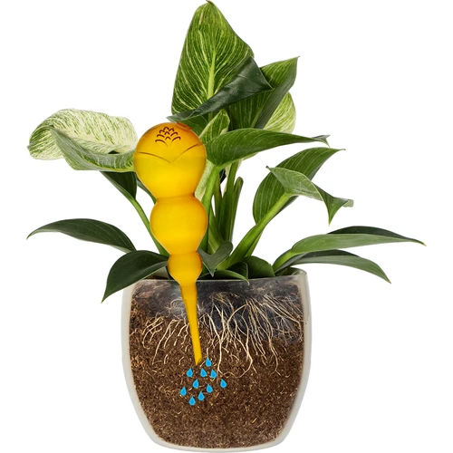 Trojitá zavlažovací koule (tříkomorová), průhledná žlutá, 600 ml - 3