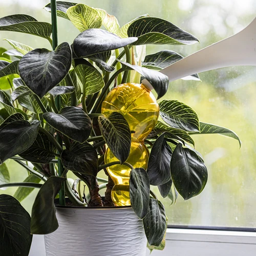 Trojitá zavlažovací koule (tříkomorová), průhledná žlutá, 600 ml - 6