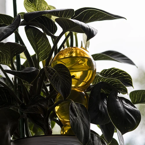 Trojitá zavlažovací koule (tříkomorová), průhledná žlutá, 600 ml - 7