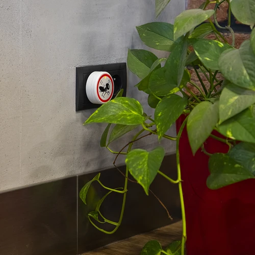 Ultrazvukový odpuzovač mravenců - pro domácí použití - 8