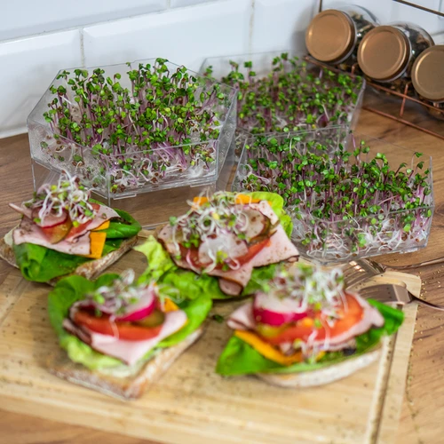 Víceúrovňová klíčkovnice Niezłe Ziółko + 10 balení semen - 18