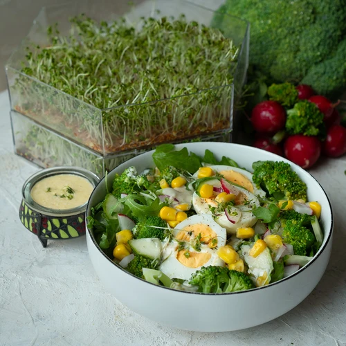 Víceúrovňová klíčkovnice Niezłe Ziółko + 10 balení semen - 15