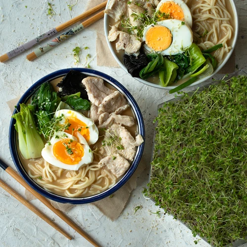 Víceúrovňová klíčkovnice Niezłe Ziółko + 10 balení semen - 19