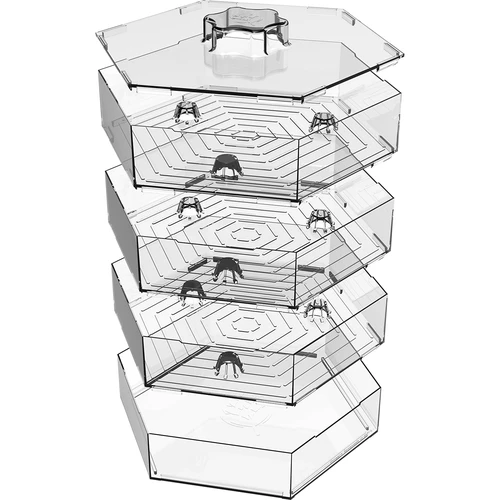 Víceúrovňové klíčidlo Niezłe Ziółko se semeny ředkvičky - 7