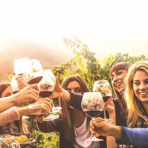 Vinařská sada 15 L se skleněným balónem - 15