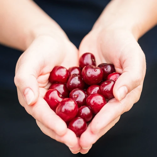 Vypeckovač na třešně a višně - 11