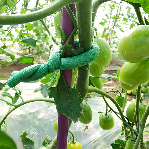 Zahradní drát potažený pěnou, zelený, 10 m, fi 10mm - 4