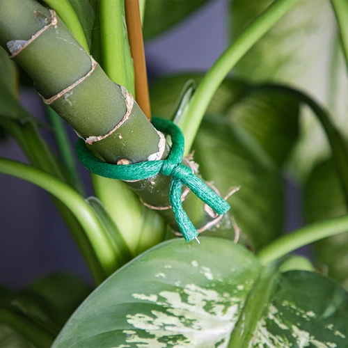 Zahradní drát potažený pěnou, zelený, 10 m, fi 10mm - 5