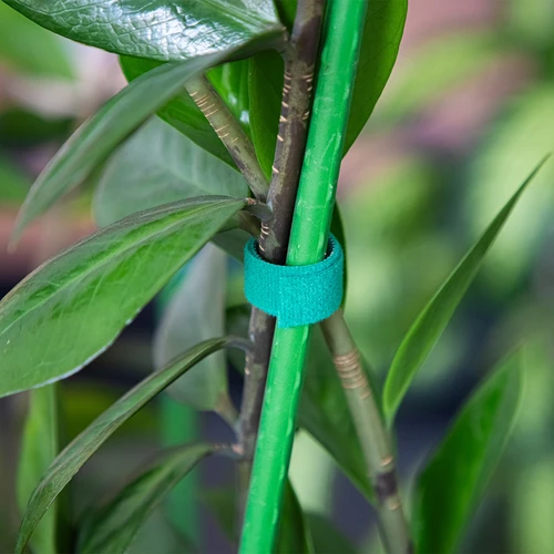 Zahradní páska na suchý zip, zelená, 15 mm x 5 m - 4