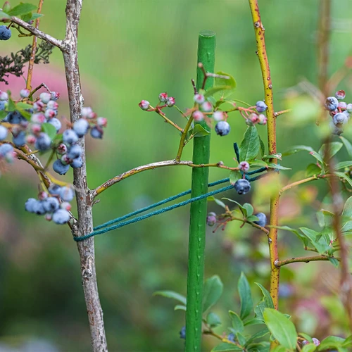 Zahradní tyčky Bioogród – potažené ocelové, 0,9 m, fi 8 mm, 10 ks - 5