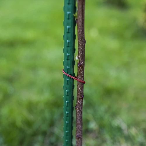 Zahradní tyčky Bioogród – potažené ocelové, 0,9 m, fi 8 mm, 10 ks - 6