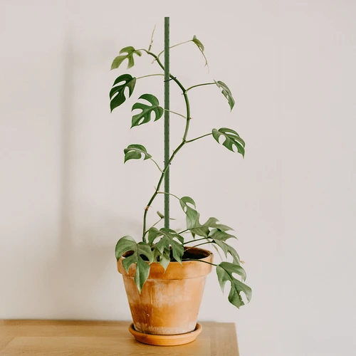 Zahradní tyčky Bioogród – potažené ocelové, 0,9 m, fi 8 mm, 10 ks - 4