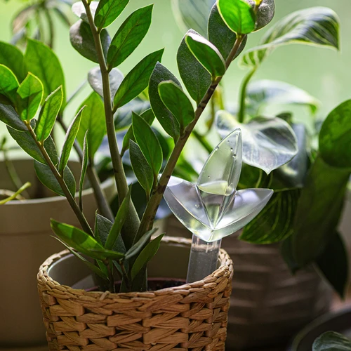 Zavlažovač pro rostliny – průhledný list, 120 ml - 7