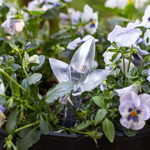 Zavlažovač pro rostliny – průhledný list, 120 ml - 8