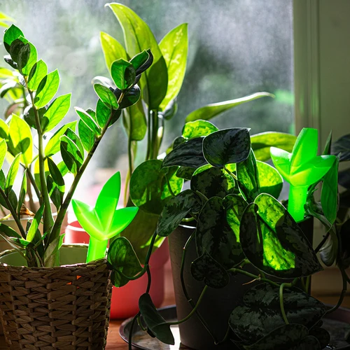 Zavlažovač pro rostliny – zelený list, 120 ml - 7