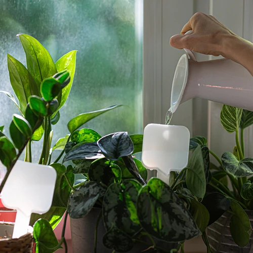 Zavlažovač rostlin – bílá tabulka, 200 ml - 8