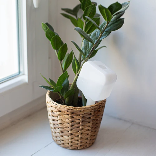 Zavlažovač rostlin – bílá tabulka, 200 ml - 9