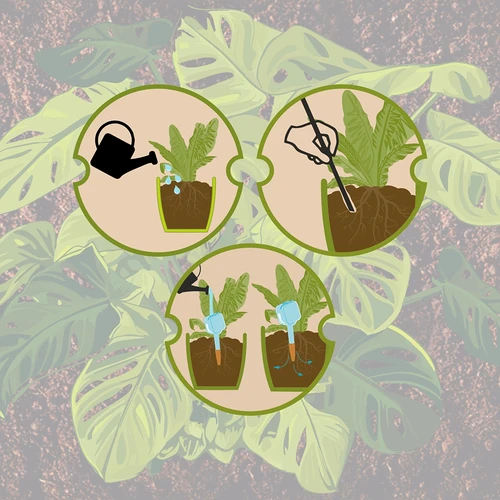 Zavlažovač rostlin - bílá tabulka s keramickou nožkou, 200 ml - 12