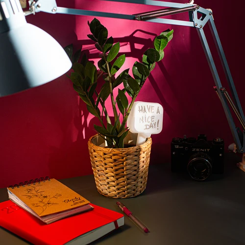 Zavlažovač rostlin - bílá tabulka s keramickou nožkou, 200 ml - 11