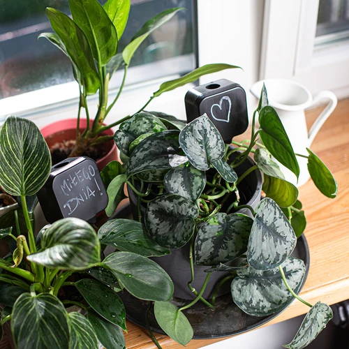 Zavlažovač rostlin – černá tabulka s keramickou nožkou, 200 ml - 9