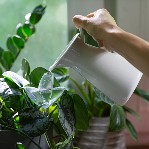 Zavlažovač rostlin – průhledný list s keramickou nožkou, 120 ml - 8