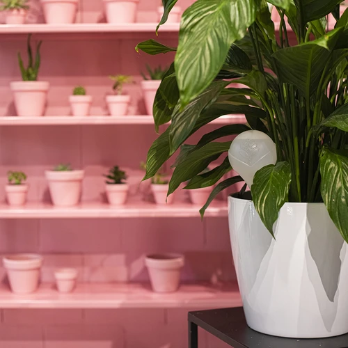 Zavlažovací koule pro rostliny, bílá matná s keramickou nožkou, 400ml - 10