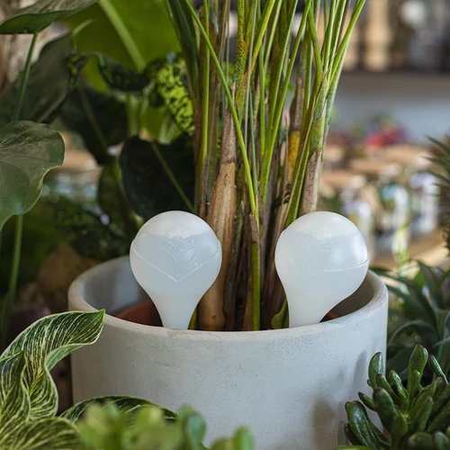 Zavlažovací koule pro rostliny, bílé poloprůhledné, 400 ml, 4 ks. - 8