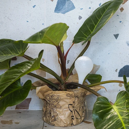 Zavlažovací koule pro rostliny, bílé poloprůhledné, 400 ml, 4 ks. - 9