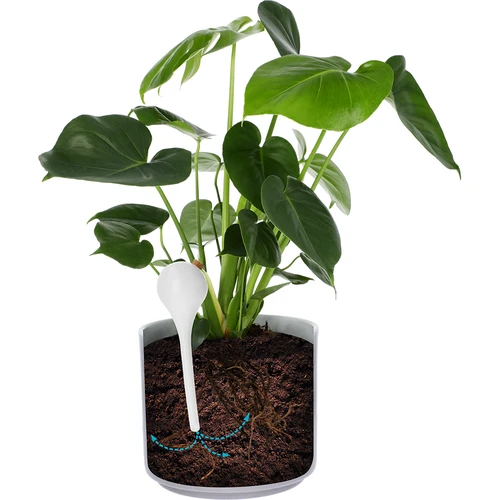 Zavlažovací koule pro rostliny, bílé poloprůhledné s korkem, 400 ml, 4 ks. - 6