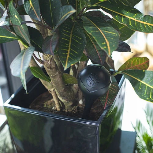 Zavlažovací koule pro rostliny, černá matná s keramickou nožkou (v balení) 400 ml - 11