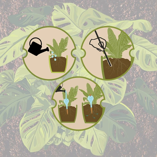 Zavlažovací koule pro rostliny, černá matná s keramickou nožkou (v balení) 400 ml - 6