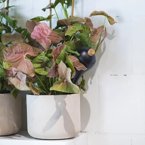 Zavlažovací koule pro rostliny, černé matné, s korkem, 400ml, 4 ks. - 10