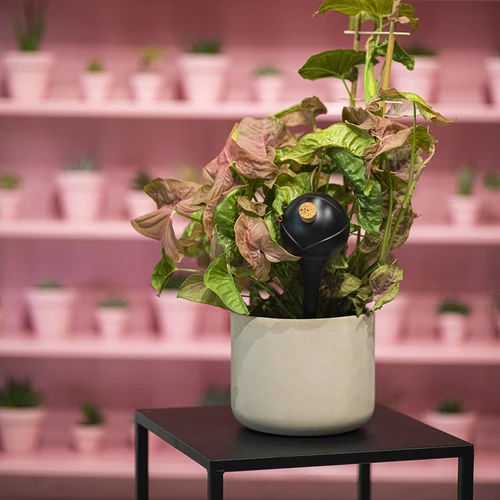 Zavlažovací koule pro rostliny, černé matné, s korkem, 400ml, 4 ks. - 11